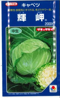 送料無料　[キャベツ]　輝岬　2000粒　タキイ種苗(株)