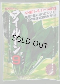 [ほうれんそう]　アイルトン9　3万粒　ナント種苗(株)