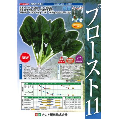 画像2: 野菜種　ほうれんそう　プロースト11　プライミング　Mサイズ　3万粒　ナント種苗(株)