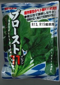 野菜種　ほうれんそう　プロースト11　プライミング　Mサイズ　3万粒　ナント種苗(株)