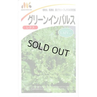 画像1: 送料無料　[レタス]　グリーンインパルス　20ml　ヴィルモランみかど