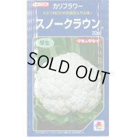 送料無料　[カリフラワー]　スノークラウン　20ml　タキイ種苗(株)