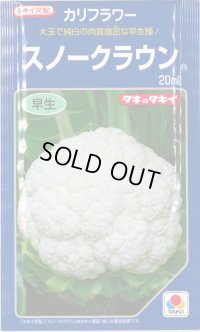 送料無料　[カリフラワー]　スノークラウン　20ml　タキイ種苗(株)