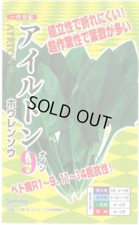 送料無料　[ほうれんそう]　アイルトン9　20ml(約650粒)　ナント種苗(株)