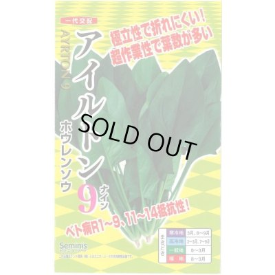画像1: 送料無料　[ほうれんそう]　アイルトン9　20ml(約650粒)　ナント種苗(株)