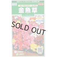 送料無料　花の種　金魚草　フローラルシャワーミックス　約86粒　　(株)サカタのタネ　実咲250（026223）