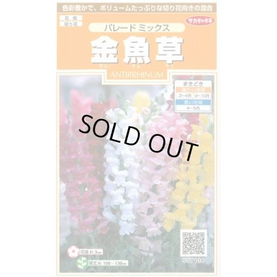 画像1: 送料無料　花の種　金魚草　パレードミックス　約145粒　　(株)サカタのタネ　実咲200（026316）