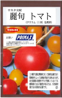 送料無料　[トマト/大玉トマト]　麗旬　100粒（10%増量）　(株)サカタのタネ