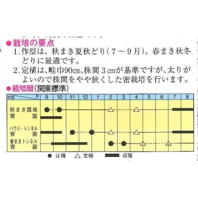 画像2: 送料無料　[ねぎ]　東京夏黒2号　20ml　トキタ種苗(株)