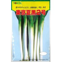 送料無料　[ねぎ]　東京夏黒2号　20ml　トキタ種苗(株)