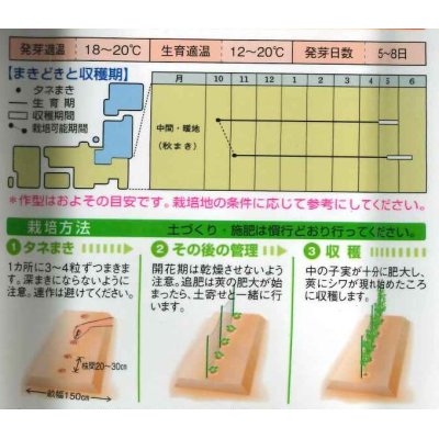 画像3: 送料無料　[えんどう]　実エンドウ　ウスイ　18ml　タキイ種苗　GF