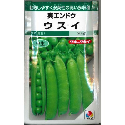 画像1: 送料無料　[えんどう]　実エンドウ　ウスイ　18ml　タキイ種苗　GF