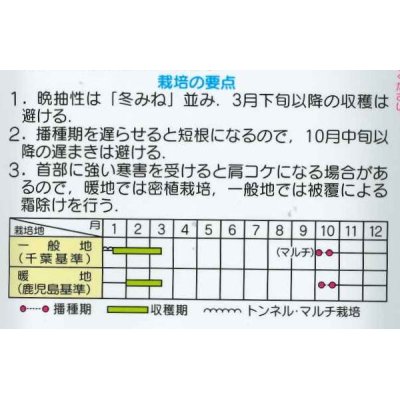 画像3: 送料無料　大根　冬みねセブン　2dl　(株)サカタのタネ