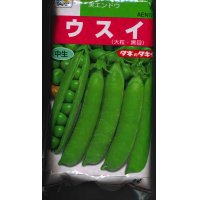 [えんどう]　実エンドウ　ウスイ　1L　タキイ種苗