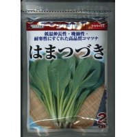 送料無料 [小松菜]　はまつづき　2ｄｌ　サカタのタネ（株）