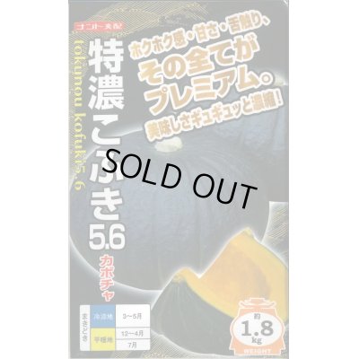 画像1: 送料無料　[かぼちゃ]　特濃こふき5.6　小袋(7粒入り)　ナント種苗(株)