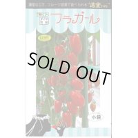 送料無料　[トマト/ミニトマト]　フラガール　8粒　トキタ種苗(株)