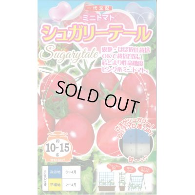 画像1: 送料無料　[トマト/ミニトマト]　シュガリーテール　15粒　ナント種苗(株)