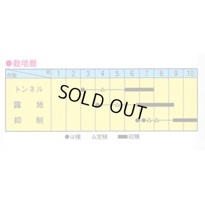 画像2: 送料無料　[瓜類]　白はぐら　20ml(およそ700粒)　トキタ種苗(株)