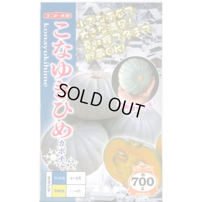 画像1: 送料無料　[かぼちゃ]　こなゆきひめ　6粒　ナント種苗(株)