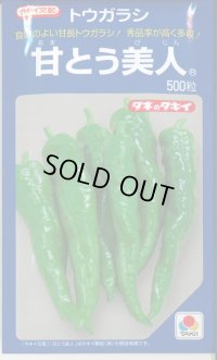 送料無料　[とうがらし]　甘とう美人　500粒　タキイ種苗(株)