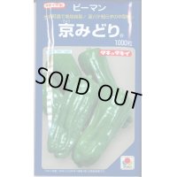 送料無料　[ピーマン]　京みどり　1000粒　タキイ種苗(株)