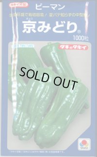 送料無料　[ピーマン]　京みどり　1000粒　タキイ種苗(株)