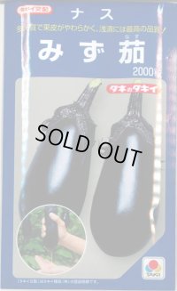 送料無料　[なす]　みず茄　2000粒　タキイ種苗(株)