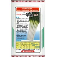 送料無料　[ねぎ]　一翠太　20ml　カネコ交配