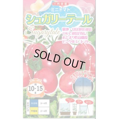 画像1: 送料無料　[トマト/ミニトマト]　シュガリーテール　500粒　ナント種苗(株)