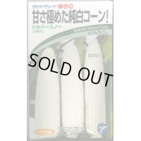 送料無料　[とうもろこし]　シルバースノー　15ml　(株)タカヤマシード