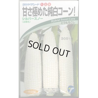 画像1: 送料無料　[とうもろこし]　シルバースノー　15ml　(株)タカヤマシード