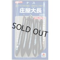 送料無料　[なす]　庄屋大長　2000粒　タキイ種苗(株)