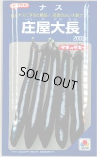 送料無料　[なす]　庄屋大長　2000粒　タキイ種苗(株)