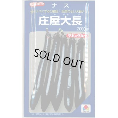 画像1: 送料無料　[なす]　庄屋大長　2000粒　タキイ種苗(株)