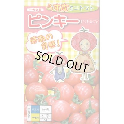 画像1: 送料無料　[トマト/ミニトマト]　ピンキー　500粒　ナント種苗(株)