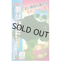 送料無料　[ブロッコリー]　夢ひびき　20ml　ナント種苗(株)