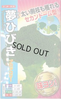 送料無料　[ブロッコリー]　夢ひびき　20ml　ナント種苗(株)