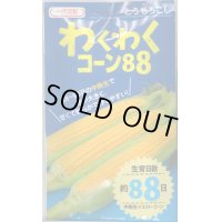 送料無料　[とうもろこし]　わくわくコーン88　100粒　カネコ交配