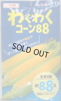 送料無料　[とうもろこし]　わくわくコーン88　100粒　カネコ交配