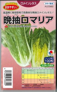 送料無料　[レタス]　ロメインレタス　晩抽ロマリア　ペレット種子100粒　タキイ種苗(株)