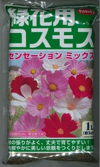 [景観形成作物]　緑花用コスモス・センセーションミックス　1L　(株)サカタのタネ