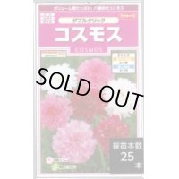 送料無料　花の種　コスモス　ダブルクリック　約36粒　(株)サカタのタネ　実咲350（026109）