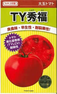 送料無料　[トマト/大玉トマト]　TY秀福　1000粒　コート種子　カネコ交配