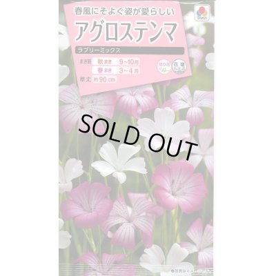 画像1: 送料無料　花の種　アグロステンマ　ラブリーミックス　タキイ種苗(株)