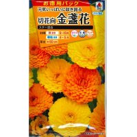 送料無料　花の種　お徳用パック！　切花向　金盞花　スター混合　タキイ種苗(株)