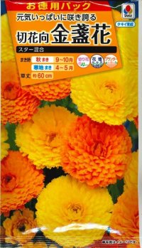 送料無料　花の種　お徳用パック！　切花向　金盞花　スター混合　タキイ種苗(株)