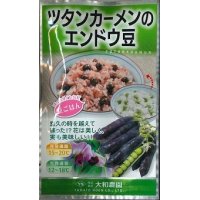 送料無料　[えんどう]　ツタンカーメンのエンドウ豆　8ml　大和農園