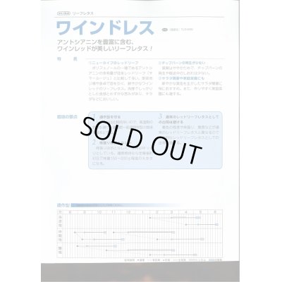 画像3: 送料無料　[レタス]　リーフレタス　ワインドレス　ペレット5千粒　タキイ種苗(株)