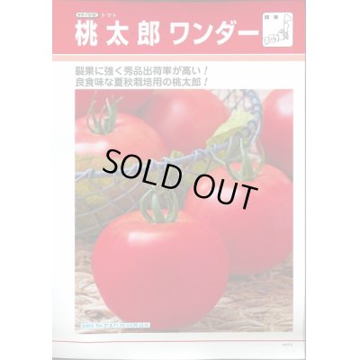 画像2: 送料無料　[トマト/桃太郎系]　桃太郎ワンダー　ペレット　2L千粒　タキイ種苗(株)